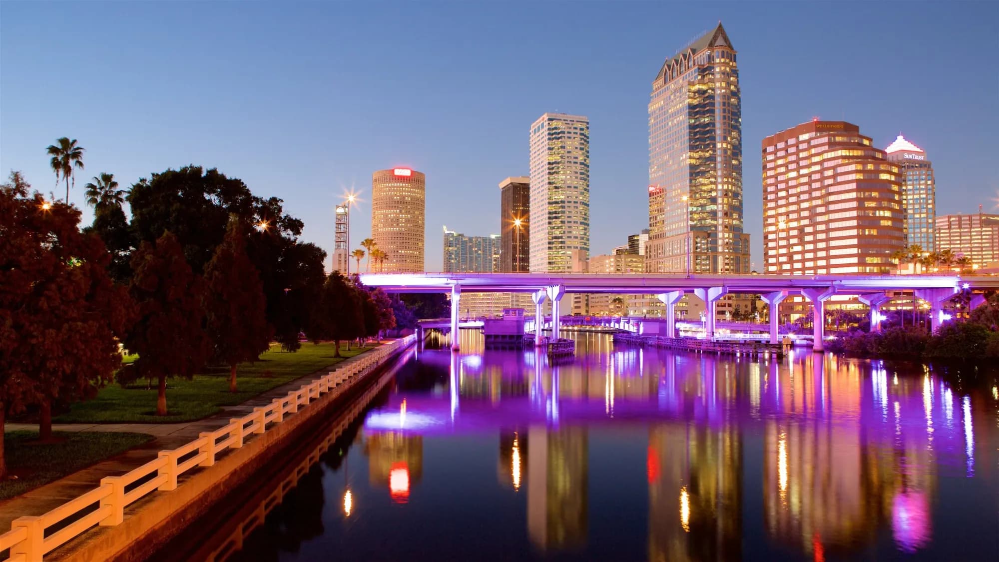 Labiaplasty in Tampa (2025 Guide)