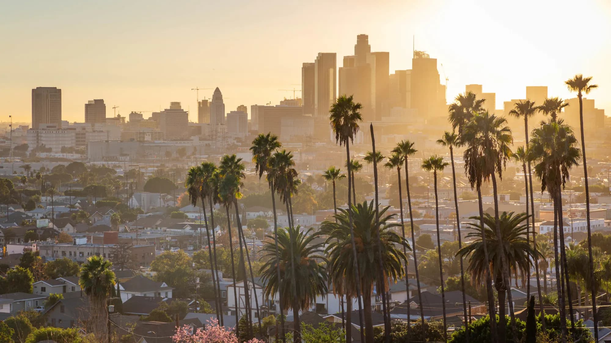 Chin Augmentation Specialists in Los Angeles (2025 Guide)