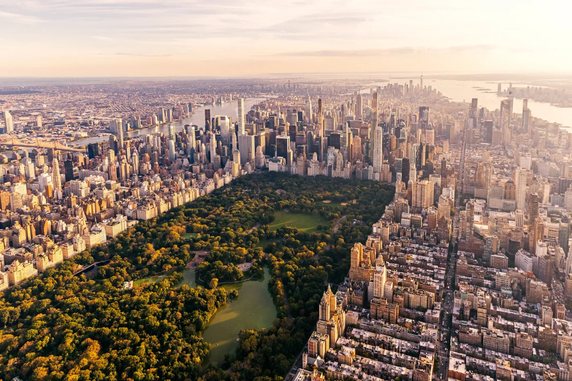 Fillers & Injectables in New York, NY (2025 Guide)