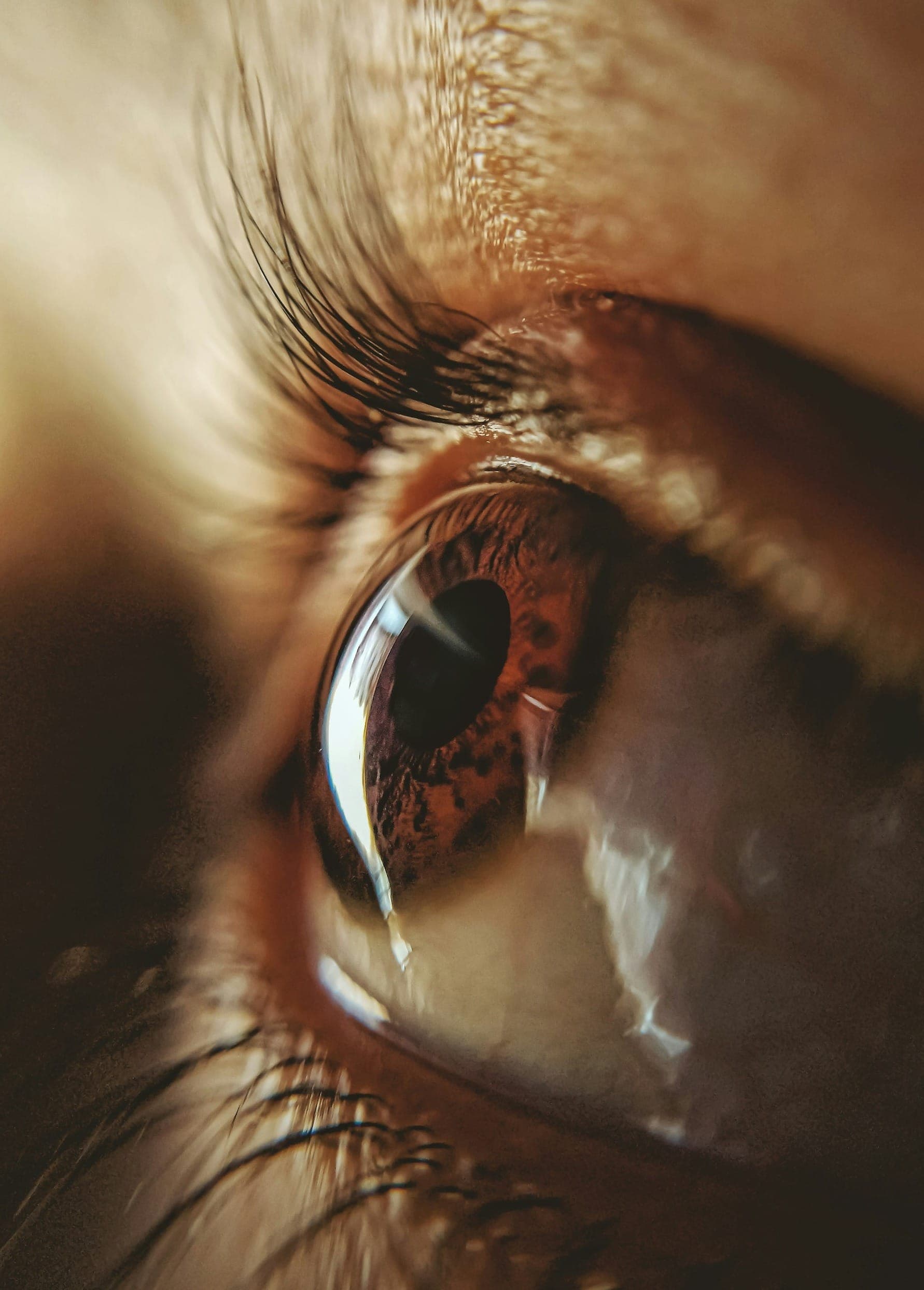 Eyelid Surgery vs. Brow Lift Which Do You Need?