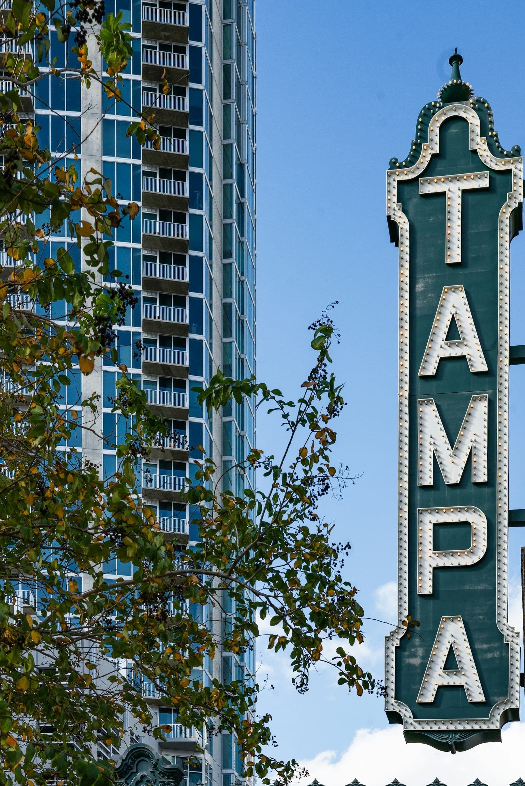 Eyelid Surgery (Blepharoplasty) Cost in Tampa (2025 Guide)