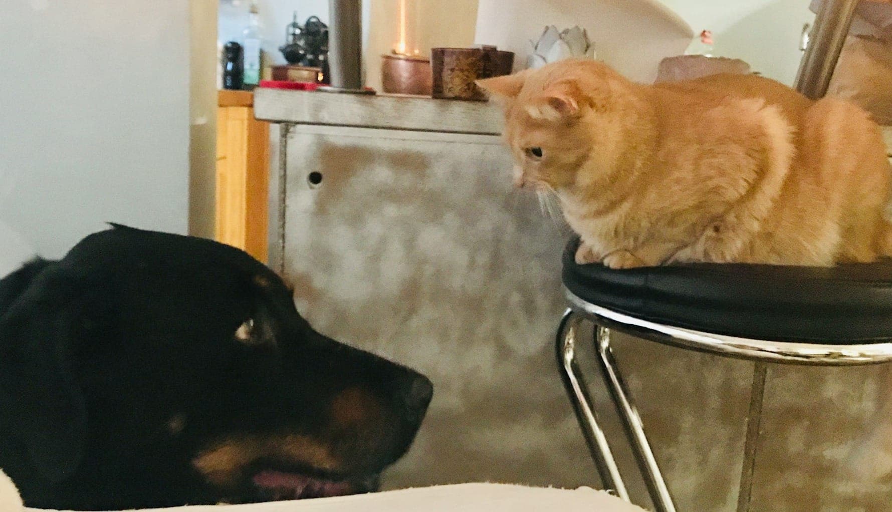 How to Handle It If You Don’t Click With a Surgeon