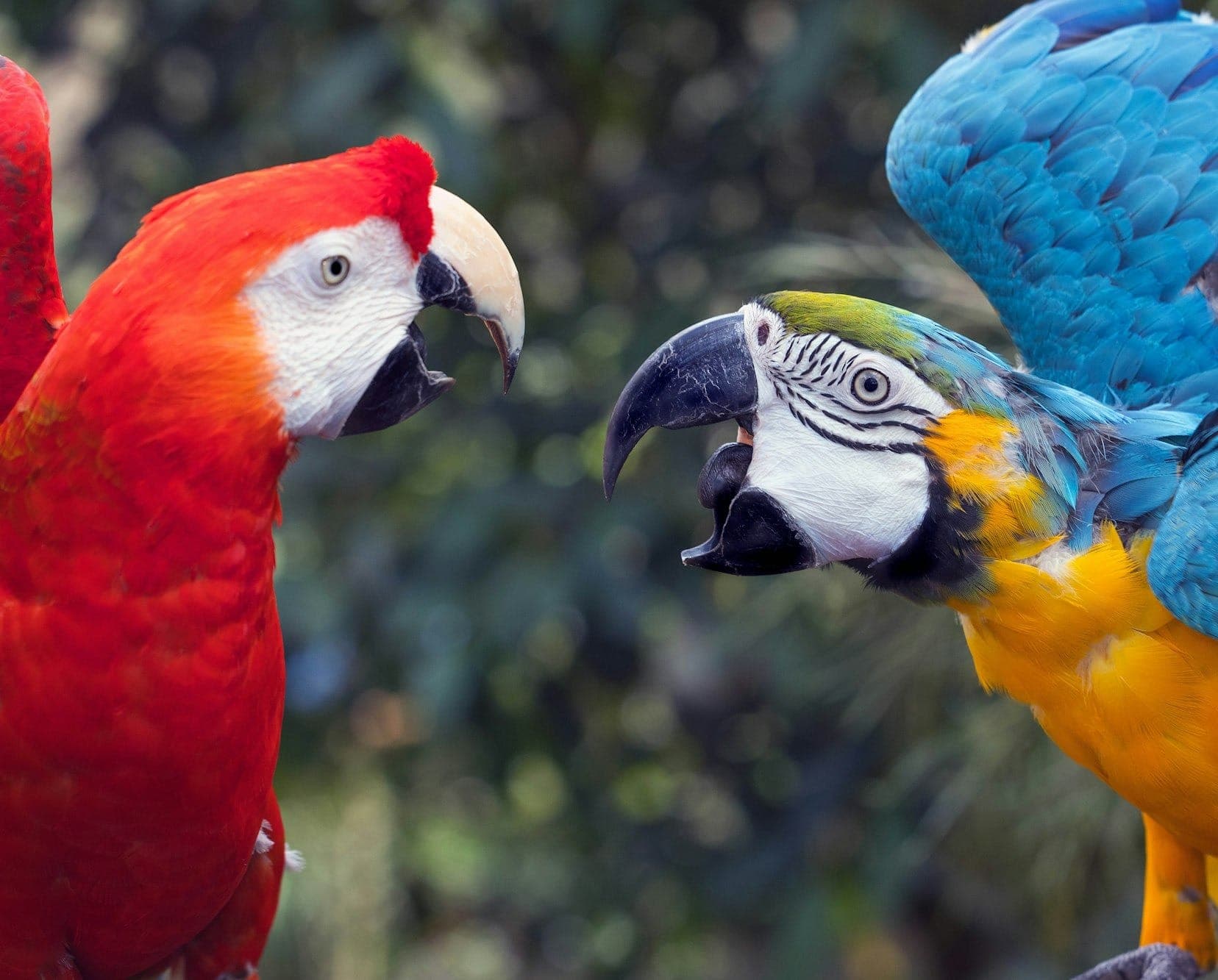 How to Handle Disagreement With a Surgeon’s Recommendations