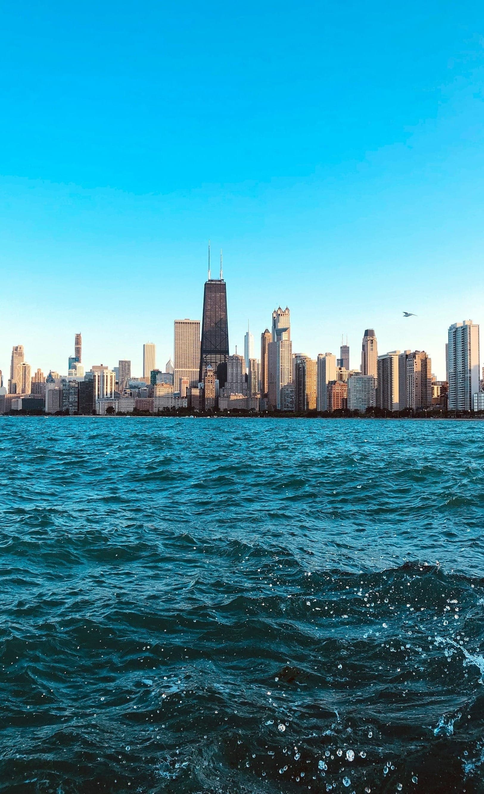 Best Plastic Surgeons in Chicago (2025 Guide) (city wide)