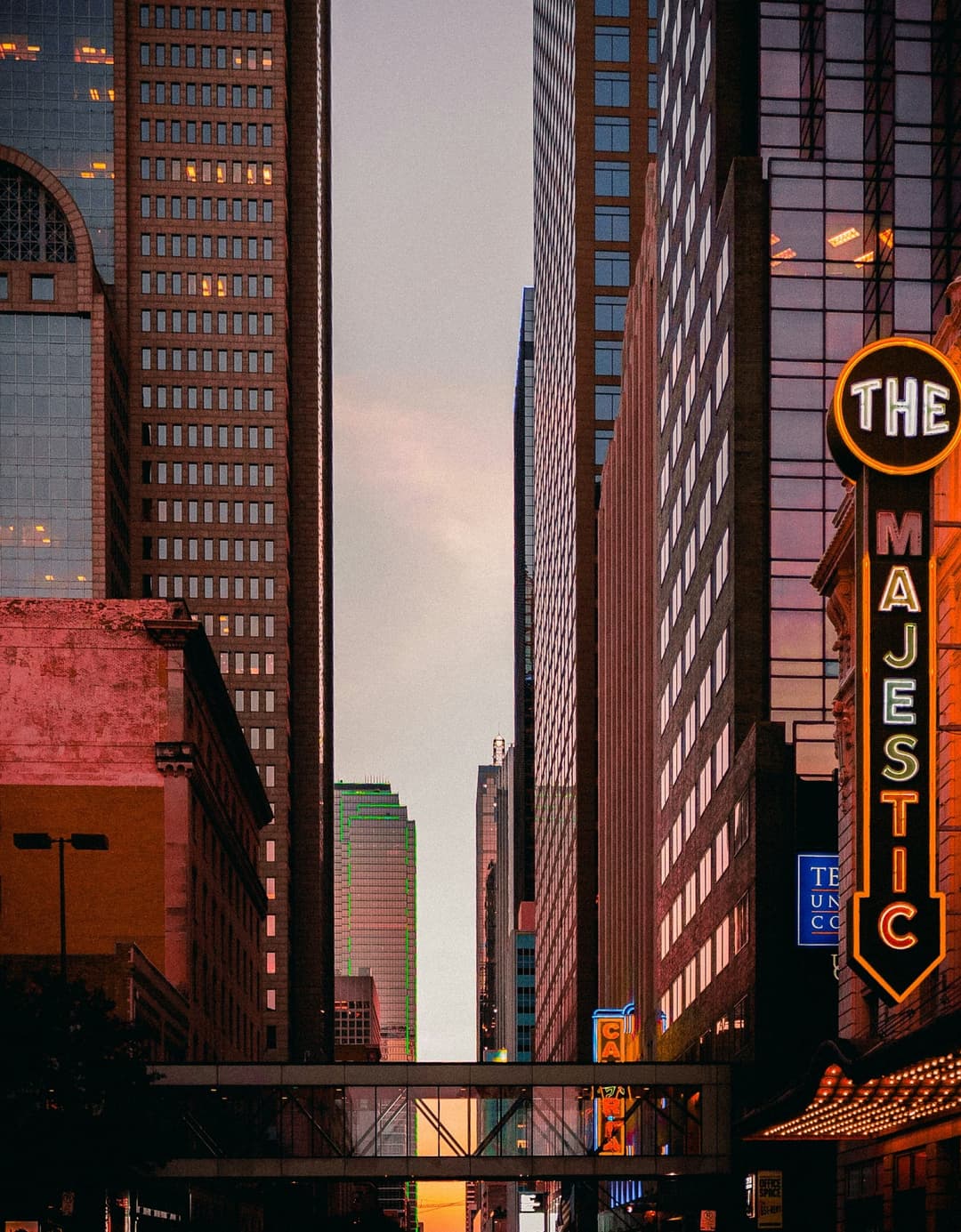 Best Plastic Surgeons in Dallas (2025 Guide)