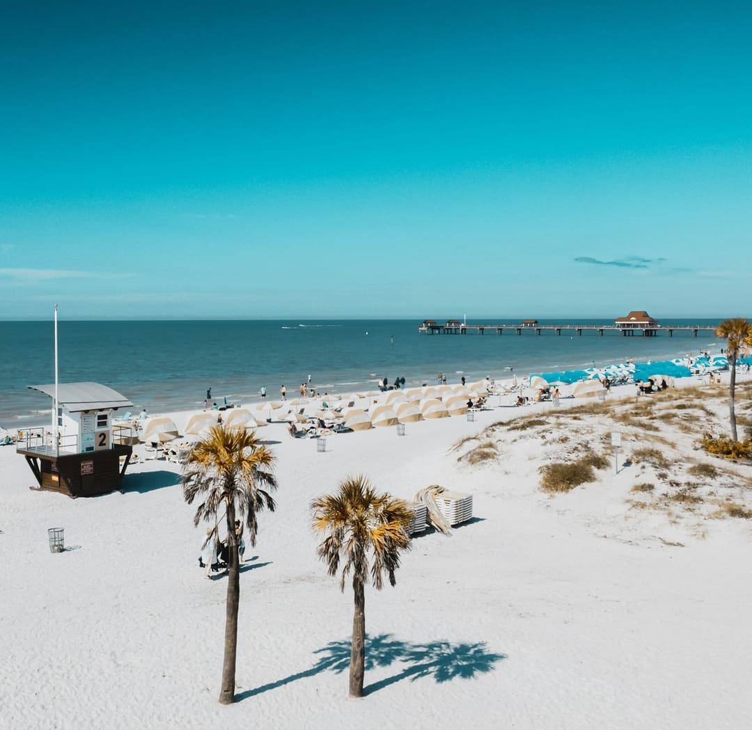 Best Tummy Tuck Surgeons in Tampa (2025 Guide)